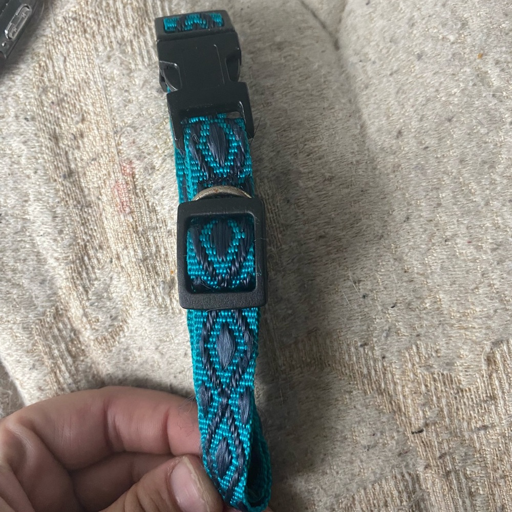 Pet collar
